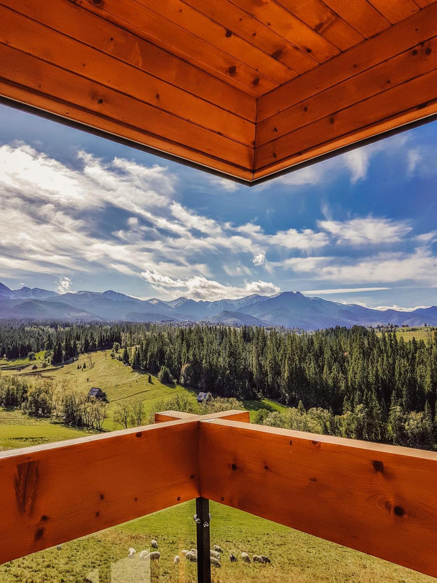 Hotel Kopieniec Fizjo- Med & Spa ムジャシフレ エクステリア 写真